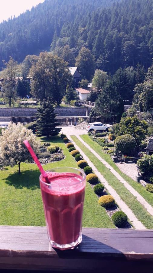 Moje Pieniny Apartament Шчавница Екстериор снимка